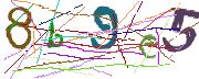 Imatge CAPTCHA
