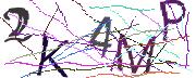 Imatge CAPTCHA