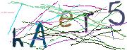Imatge CAPTCHA