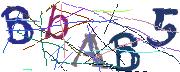 Imatge CAPTCHA