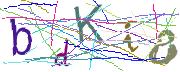 Imatge CAPTCHA