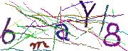 Imatge CAPTCHA