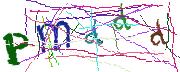 Imatge CAPTCHA