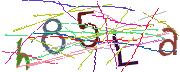 Imatge CAPTCHA