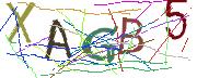 Imatge CAPTCHA