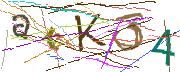 Imatge CAPTCHA