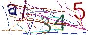 Imatge CAPTCHA