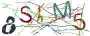 Imatge CAPTCHA