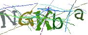 Imatge CAPTCHA