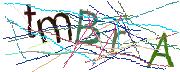 Imatge CAPTCHA
