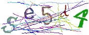Imatge CAPTCHA