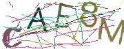Imatge CAPTCHA
