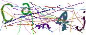 Imatge CAPTCHA