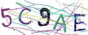 Imatge CAPTCHA
